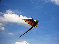 2008 KiteFestival-003.jpg